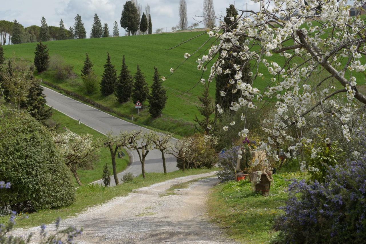 Agriturismo Campo Alla Piana Villa Monticchiello Exterior foto